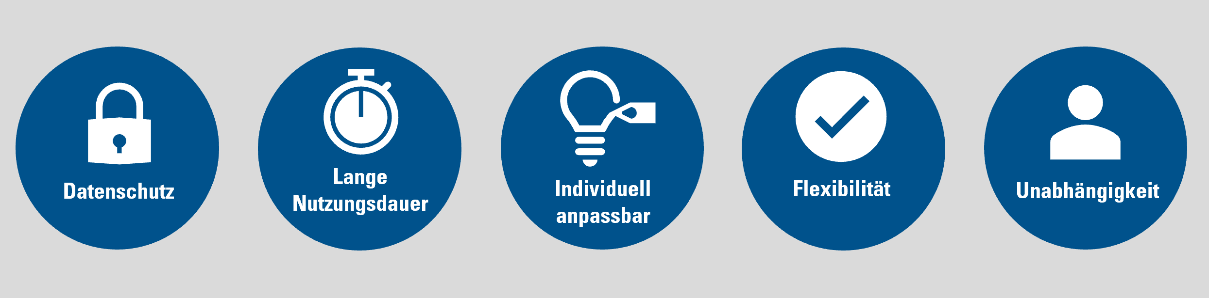 Abb_Blog_SaaSvsInhouse_Vorteile_InhouseTest_png