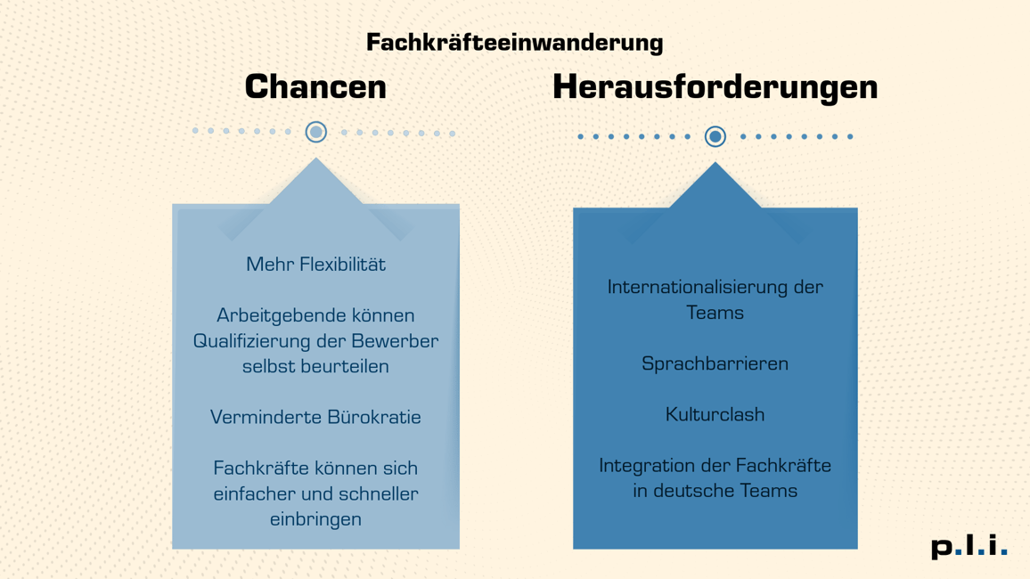 Fachkräfteeinwanderung_ Chancen und Herausforderungen