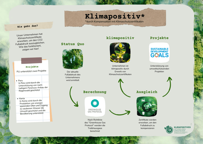 Prozess_Klimapositiv durch Kompensation