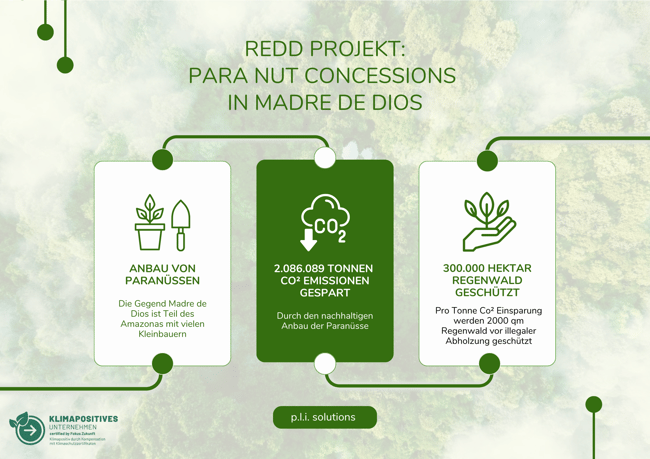 Redd Projekt Peru
