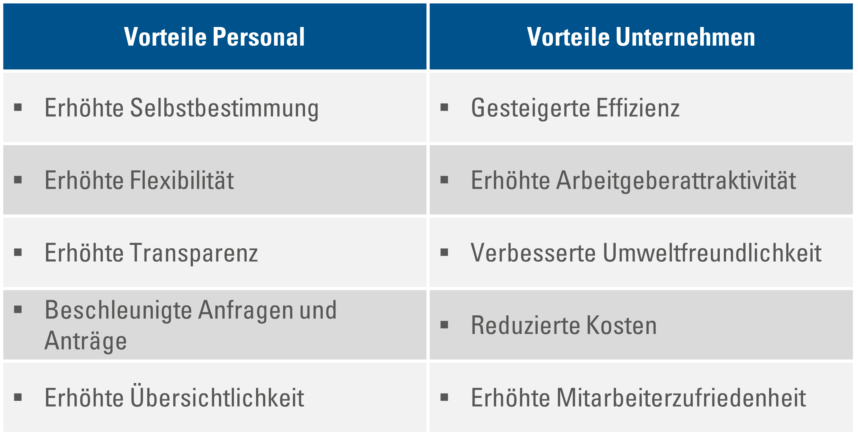 Vorteile-1