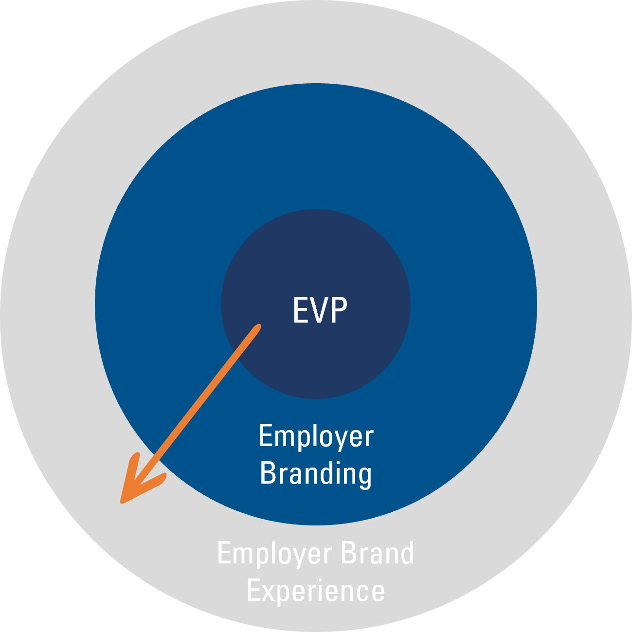 Graphik_EmployerBranding_EVP